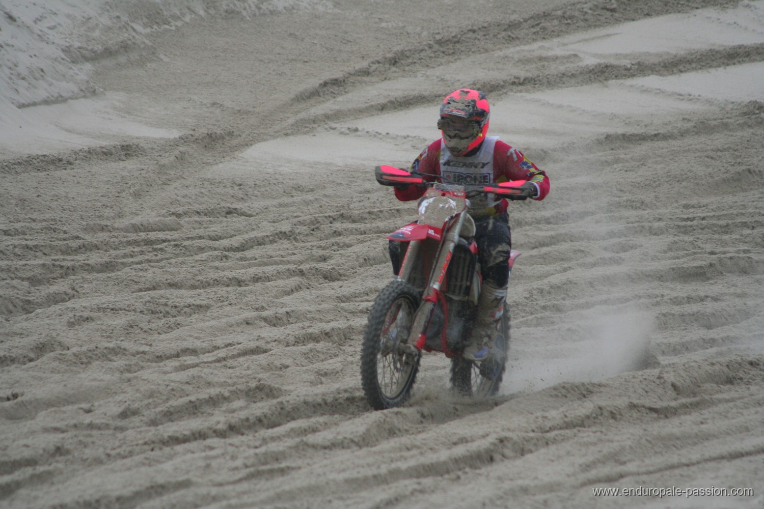 IMG_7796.JPG