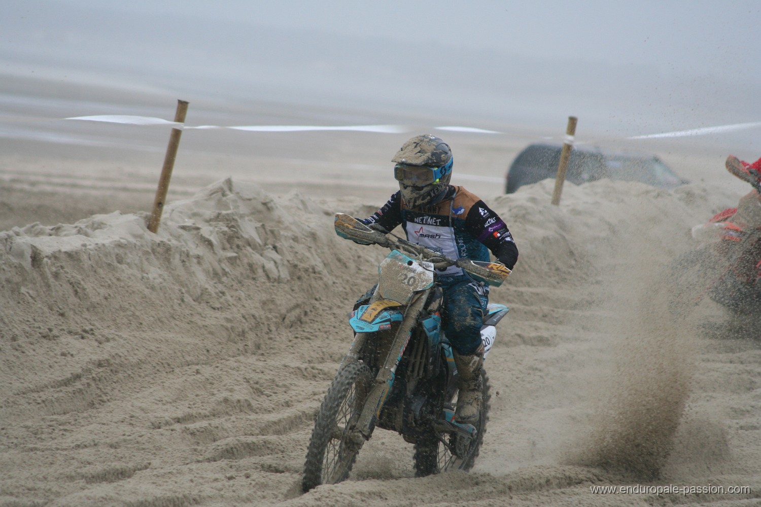 IMG_7847.JPG