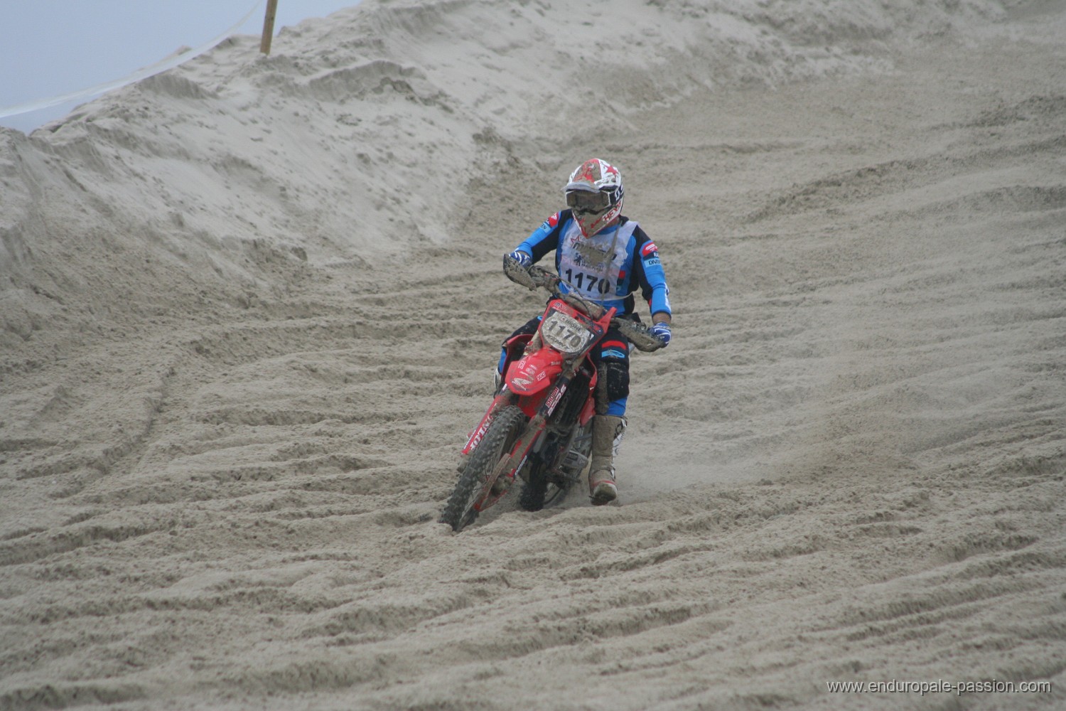 IMG_7931.JPG