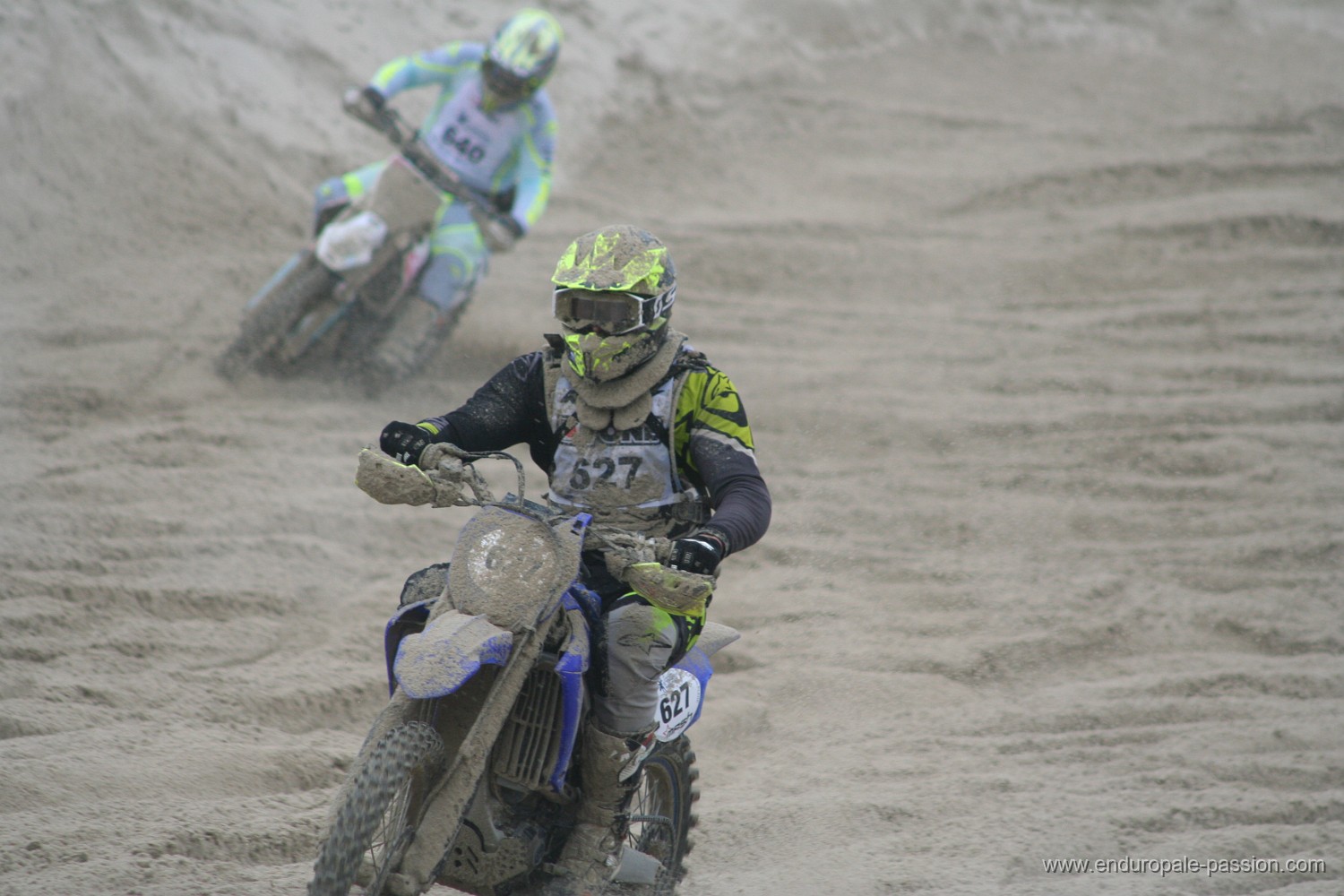 IMG_7935.JPG
