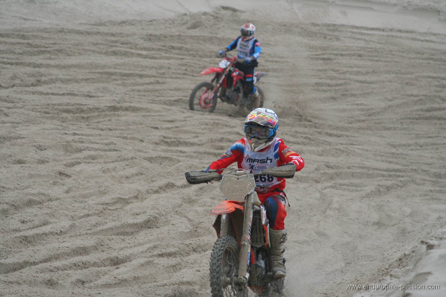 IMG_8282.JPG