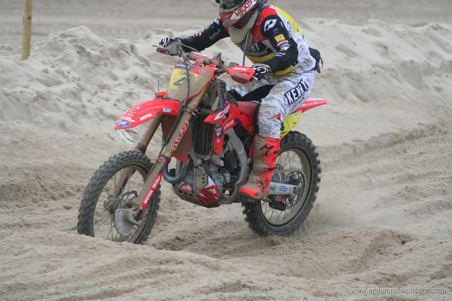 IMG_8297.JPG