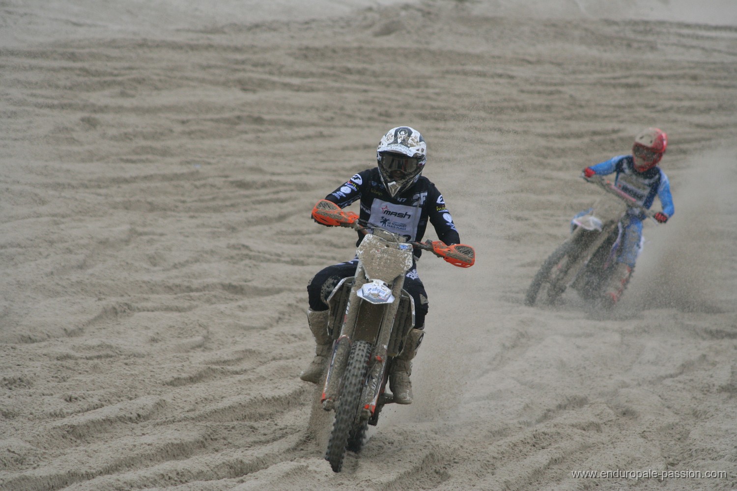 IMG_8299.JPG