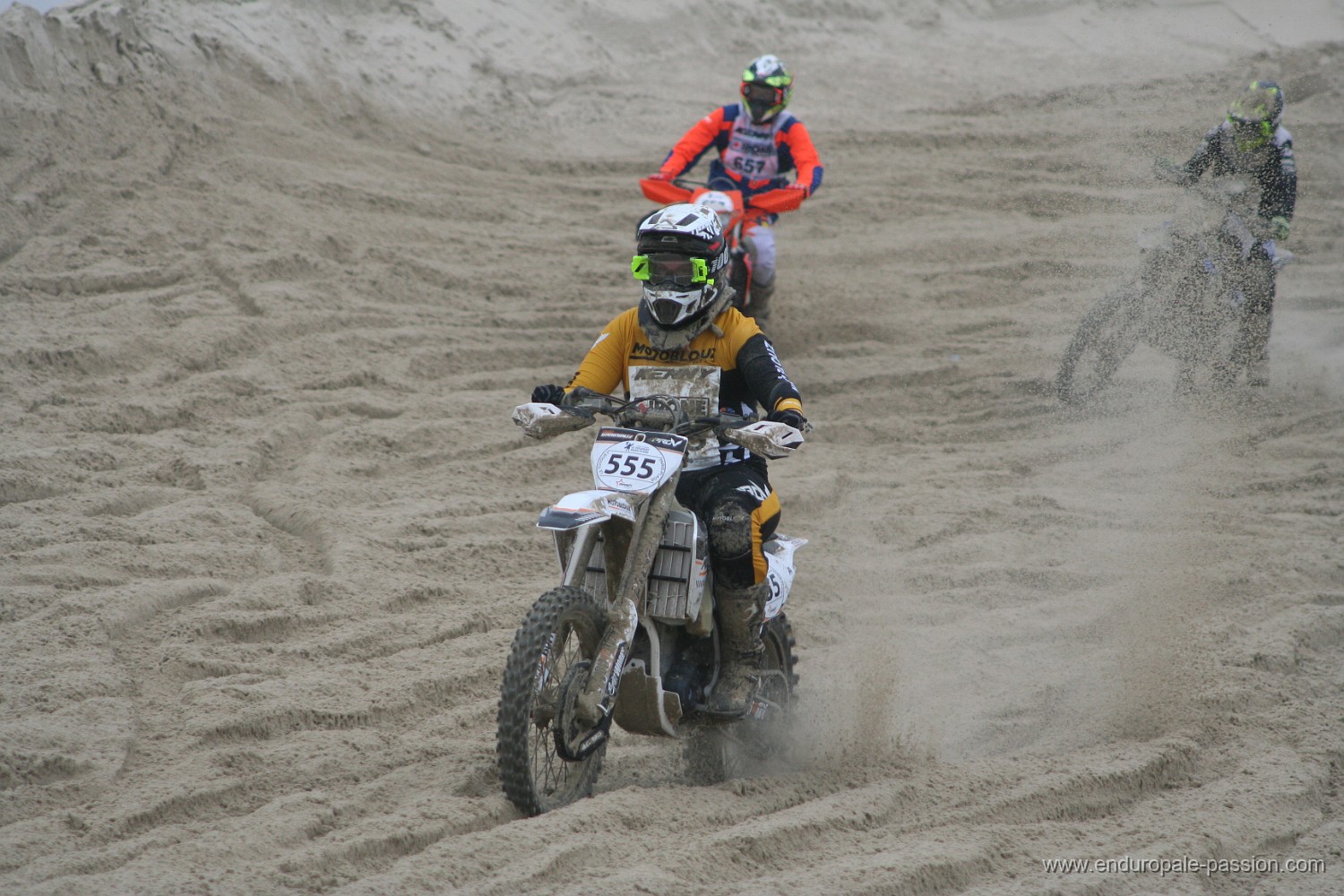 IMG_8300.JPG