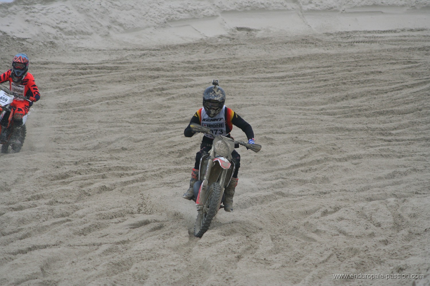 IMG_8447.JPG