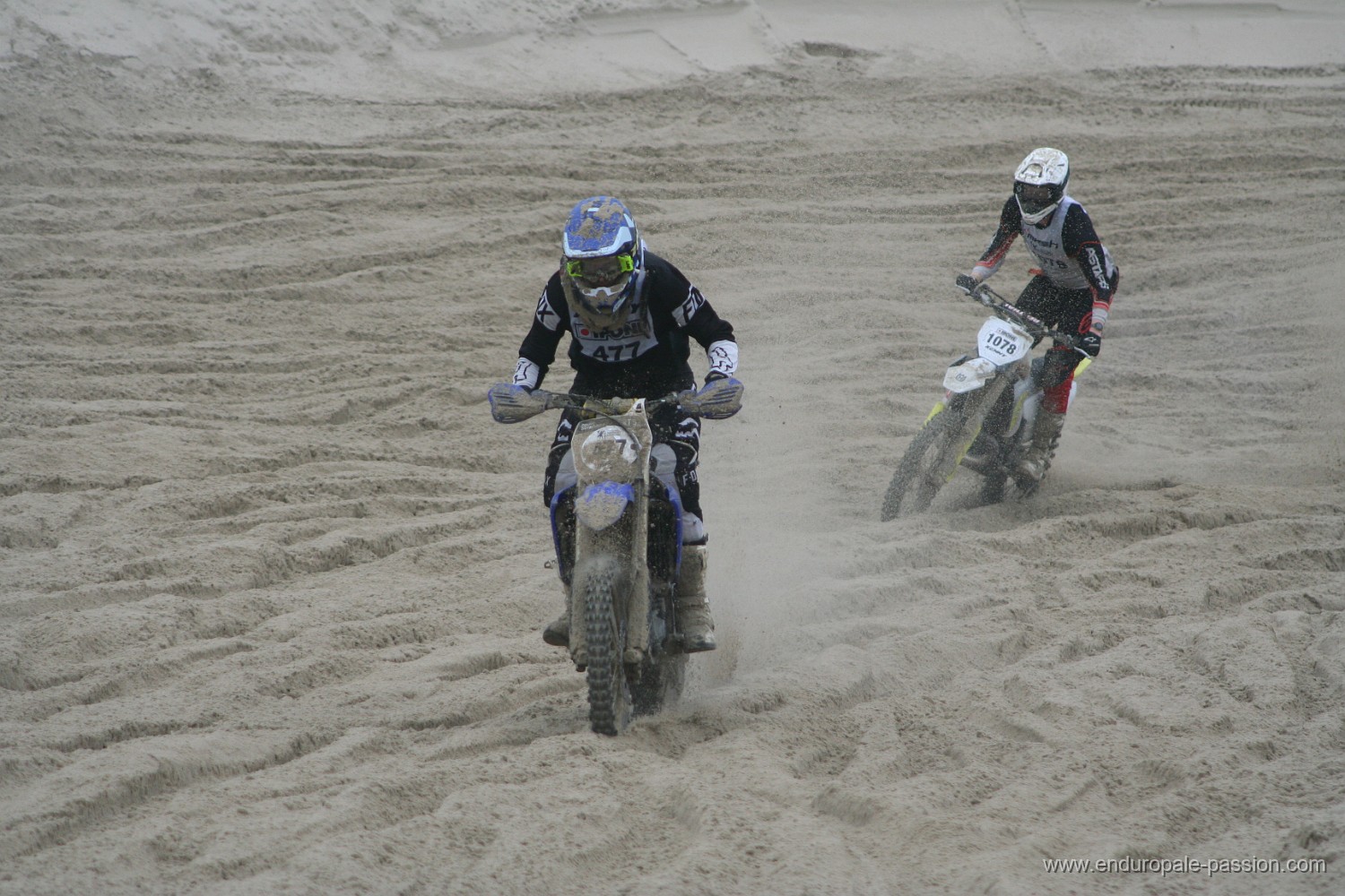 IMG_8451.JPG