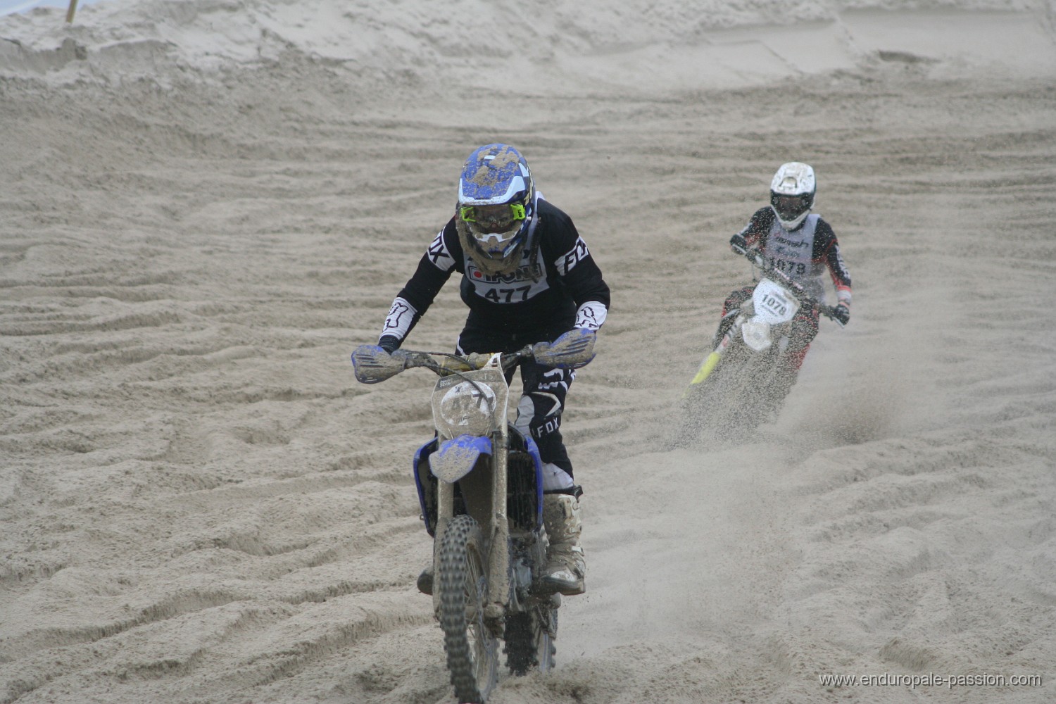 IMG_8452.JPG