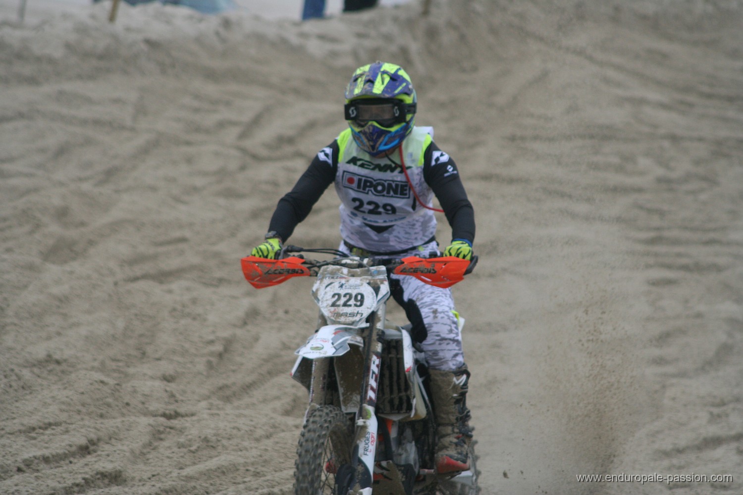 IMG_8582.JPG
