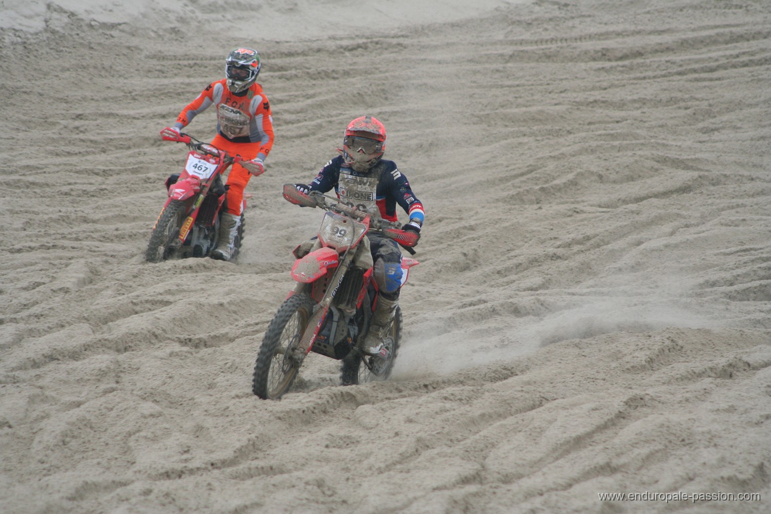 IMG_8612.JPG