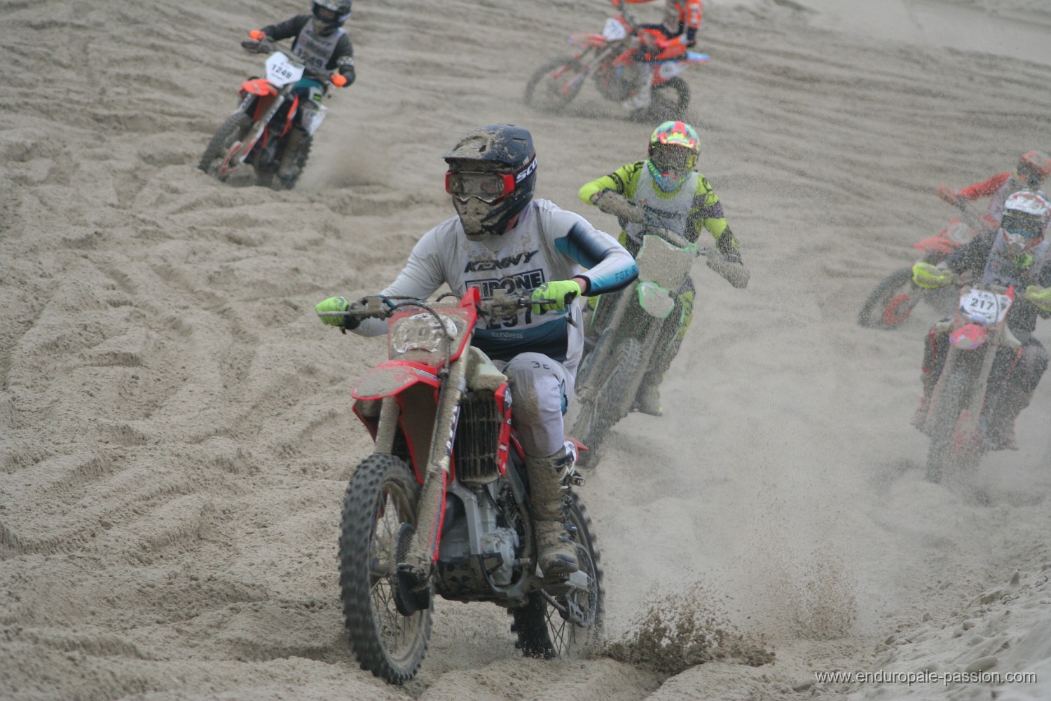 IMG_8650.JPG