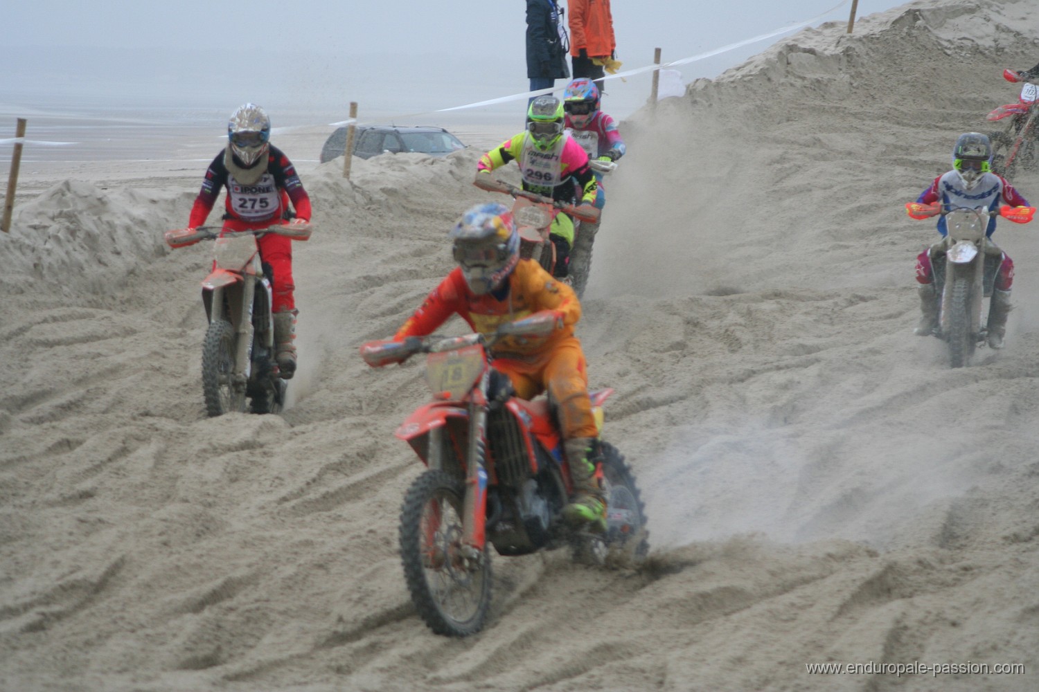 IMG_8710.JPG