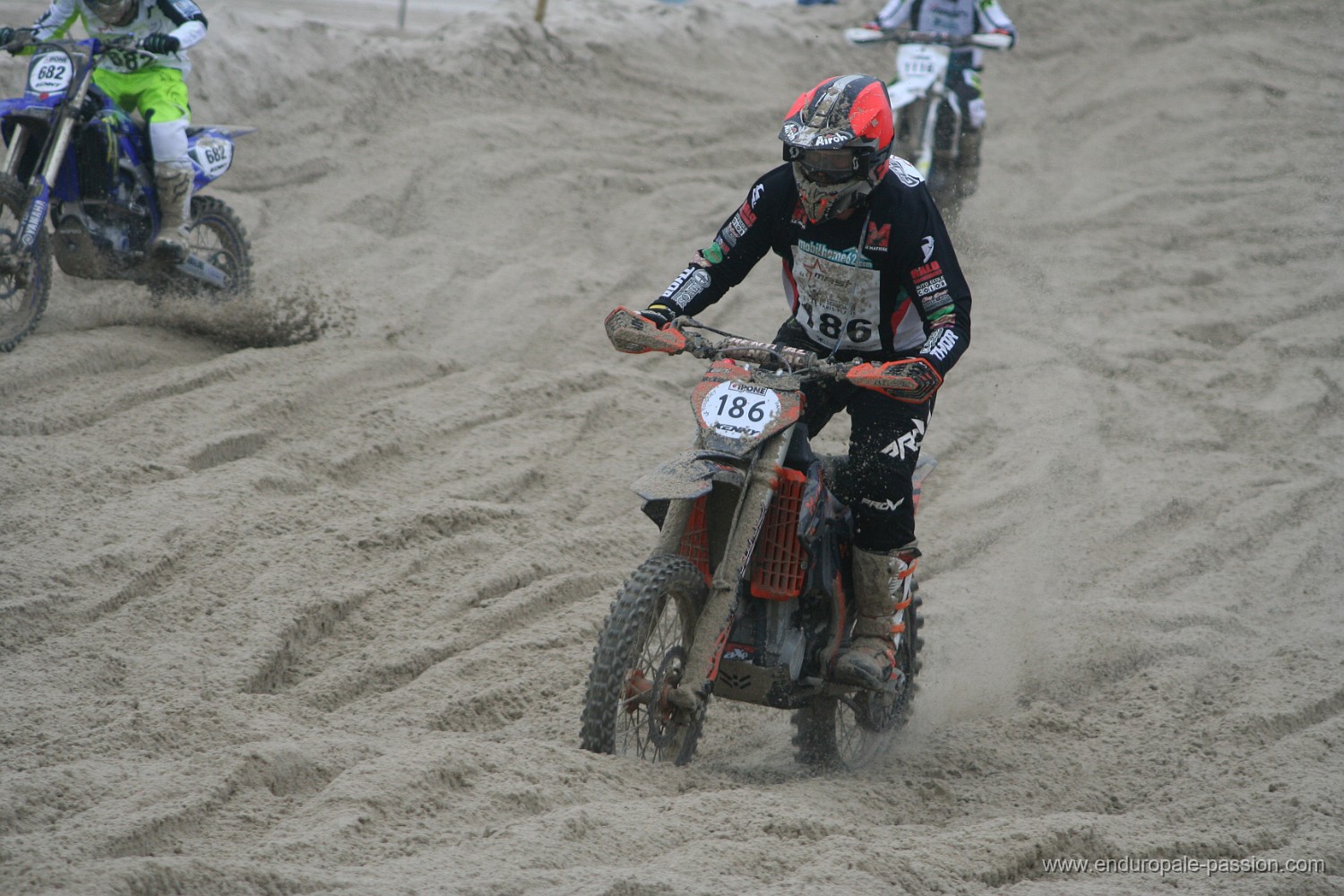IMG_8722.JPG