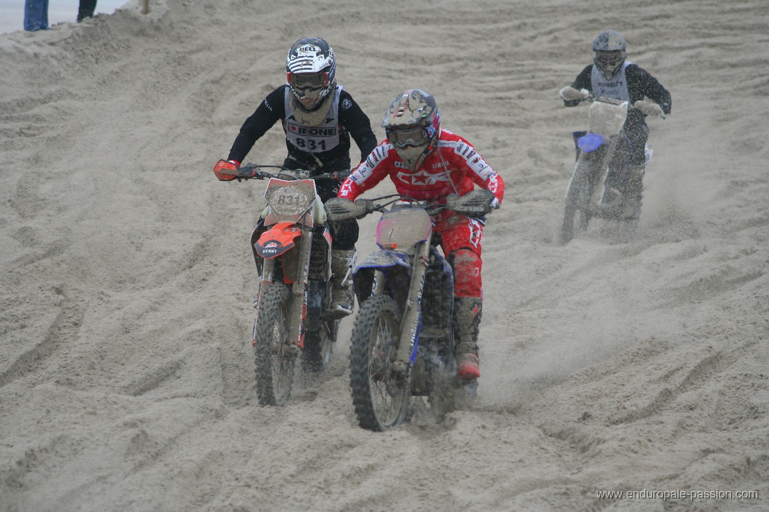 IMG_8736.JPG