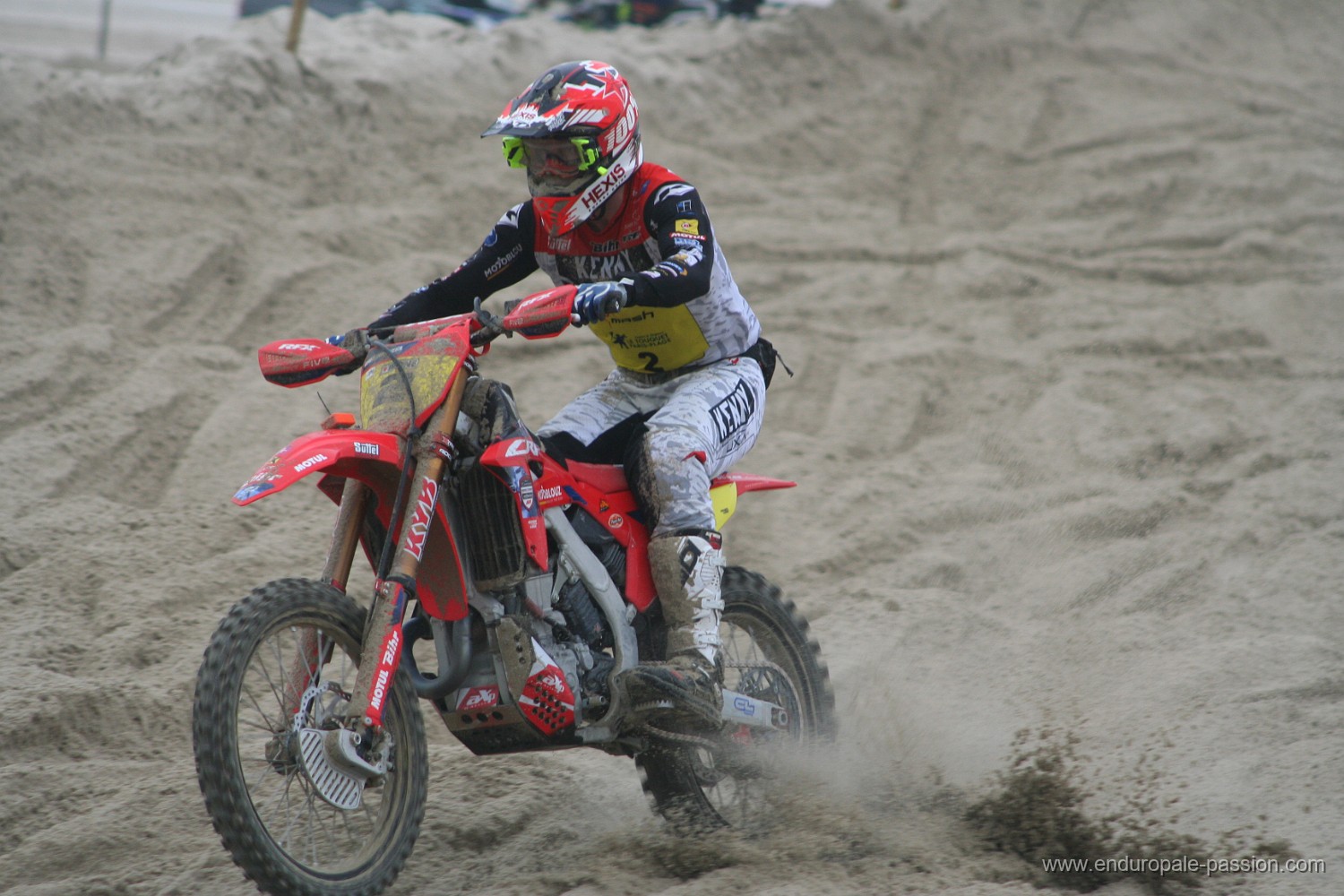 IMG_8829.JPG