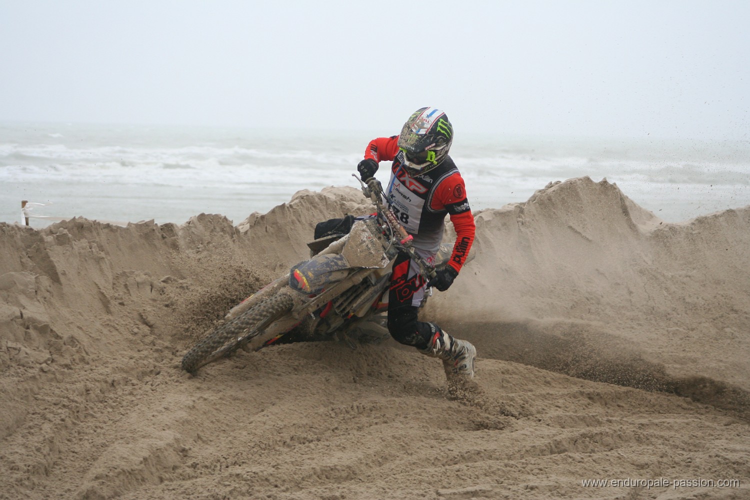 IMG_8933.JPG